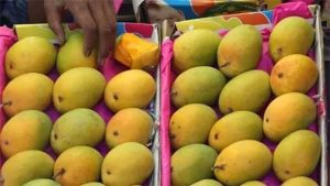 देवगडचा सांगून बाजारात विकला जातोय कर्नाटकचा आंबा