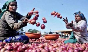 कांद्याचे दर वाढल्याने शेतकऱ्यांना दिलासा