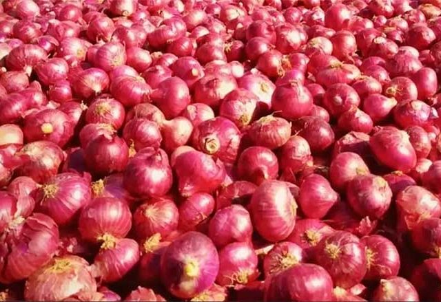 बांगलादेशने आयात बंदी हटवल्यानंतर कांद्याच्या दरात अल्पशी सुधारणा