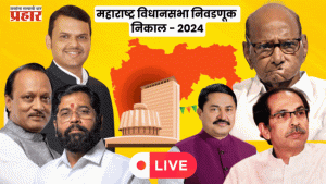 assembly election result : महाराष्ट्र विधानसभा निवडणूक-२०२४ पक्षनिहाय कोणाला किती जागा