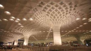 Cab driver : एनआरआयची फसवणूक करणाऱ्या कॅब चालकाला अटक