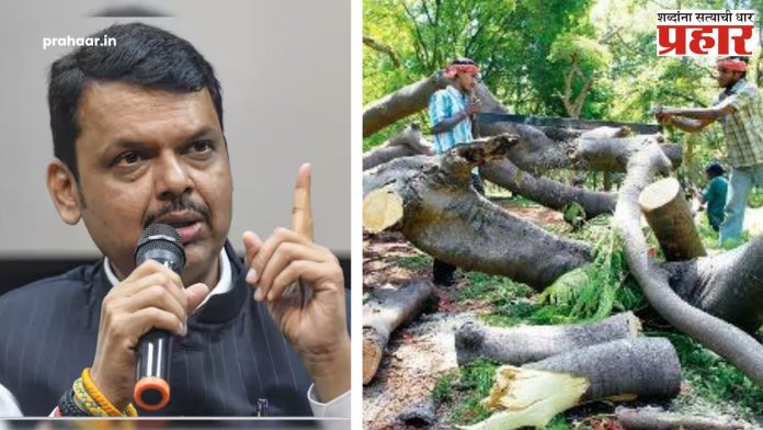 CM Devendra Fadanvis : वृक्षतोड कायद्याविषयी सुधारणा विधेयकाला मुख्यमंत्र्यांकडून स्थगिती !