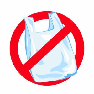 Thane Plastic Ban : ठाण्यात प्लास्टिकविरोधात महापालिकेची धडक कारवाई! ९९ किलो प्लास्टिक जप्त, ७९ हजारांचा दंड