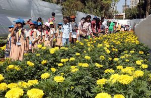 Mumbai Flower Festival : राणीच्या बागेत फ्लॉवर फेस्टिव्हलला प्रारंभ! तीन दिवस बहरणार पुष्पोत्सव