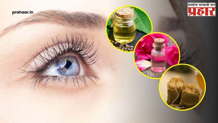 Dry eyelashes : थंडीमुळे डोळ्यांच्या पापण्या कोरड्या दिसतायत? असं मॉईश्चरायझ करा