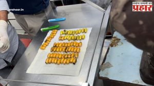 Cocaine Seized By DRI Mumbai : मुंबईत २२ कोटी रुपयांचे २.२ किलो कोकेन जप्त