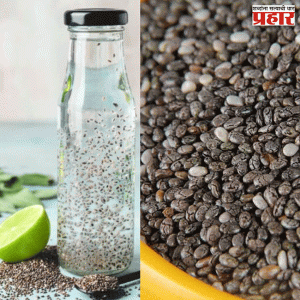 Health Secure Water :  हे 'पाणी' प्यायल्यास लागत नाही वारंवार भूक; पचनप्रक्रिया राहील व्यवस्थित!