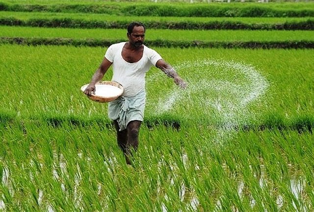 Farmers Development : राज्यातील १३ हजार कृषी कर्मचाऱ्यांना मिळणार अत्याधुनिक लॅपटॉप