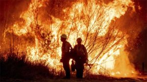 Los Angeles Wildfire : बॉलिवूडची ‘ही’ अभिनेत्री अडकली लॉस एंजेलिसच्या अग्नितांडवात!