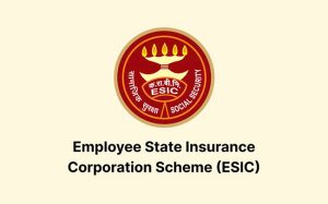 Government Job : तरुणांसाठी आनंदवार्ता! ESICमध्ये काम करण्याची सुवर्णसंधी