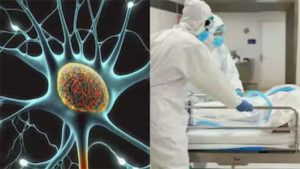 GBS Update : पुणे, मुंबई नंतर आता नागपूरातही एका रुग्णाचा मृत्यू; राज्यात मृतांचा आकडा १० वर पोहचला!