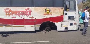 Shivshahi Bus Accident : धावत्या शिवशाही बसचं टायर निखळलं अन् ५० प्रवासी...