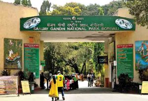 अरे चाललंय काय? आता संजय गांधी राष्ट्रीय उद्यान वाचवण्यासाठी मोहीम!