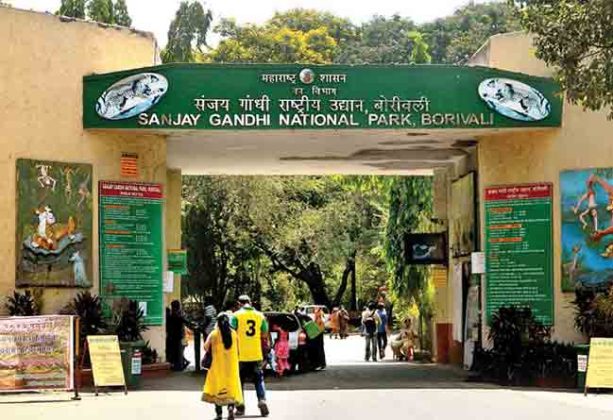 अरे चाललंय काय? आता संजय गांधी राष्ट्रीय उद्यान वाचवण्यासाठी मोहीम!