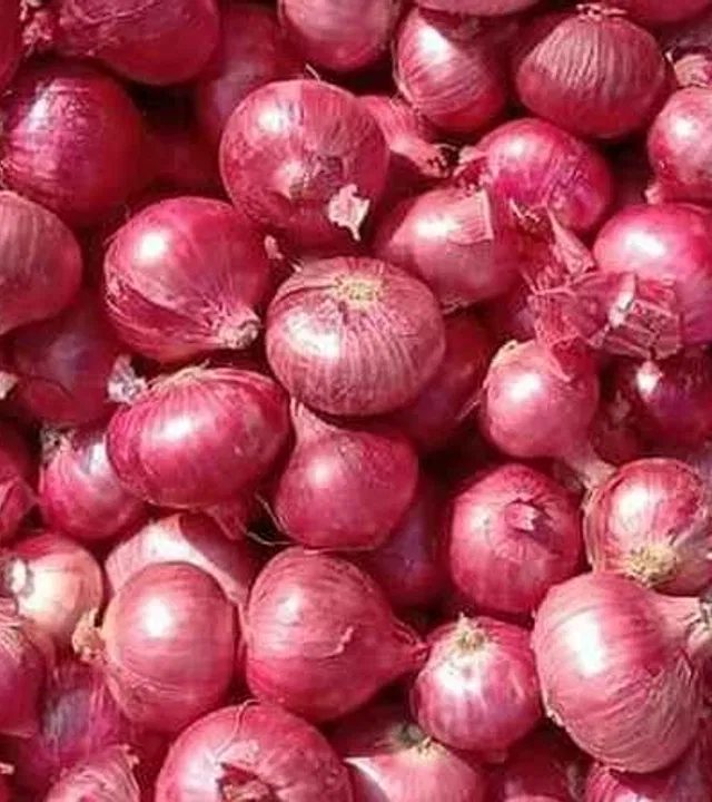 केंद्राकडून कांद्यावरील २० टक्के निर्यात शुल्क रद्द
