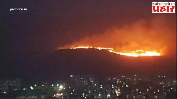 National Park Fire : बोरिवलीतील संजय गांधी राष्ट्रीय उद्यानात भीषण आग; तळीरामांचा प्रताप