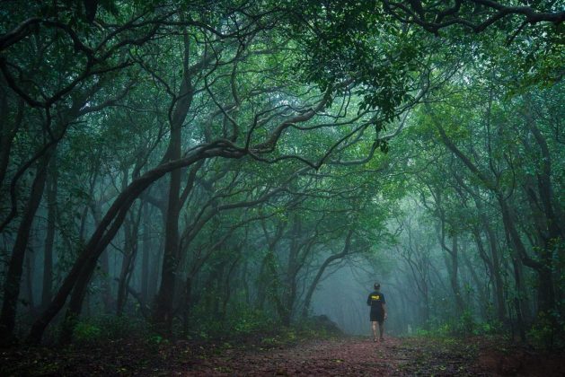 माथेरान बेमुदत बंद