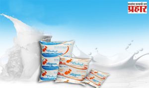 Gokul Milk : मुंबईत गोकुळ दूध विक्रीत ६० हजार लिटरने घट!