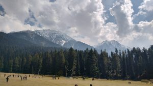 घुसखोरीचा कॅन्सर दूर होण्याची गरज