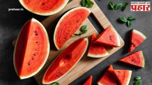 Benefits Of Watermelon : कलिंगड खा अन् हायड्रेट राहा!
