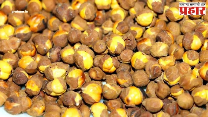 Rosted Chana: हरभरे खाल्ल्याने शरीर होते निरोगी!