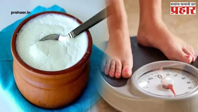 Weightloss Tips: वजन कमी करण्यासाठी दह्यात ‘हे’ २ पदार्थ मिसळून खा!