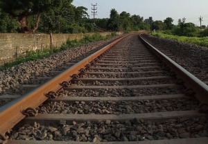 Railway News : लोकलमधून पडून तरुणाचा मृत्यू