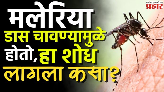 World Malaria Day 2025 : जागतिक मलेरिया दिन! पण मलेरियाचा शोध कुणी लावला?
