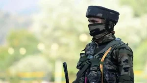 BSF : भारत - पाकिस्तान सीमेवरील सीमा सुरक्षा दलाच्या कारवाईत घुसखोर ठार