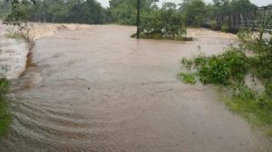 मुसळधार पावसाने जिल्ह्याला झोडपले