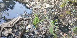 धारावी नाल्यामुळे अनेकांच्या घरांमध्ये पाणी