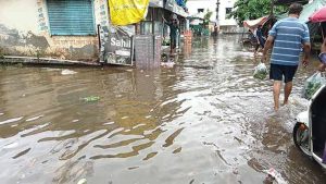 मुसळधार पावसाने जिल्ह्याला झोडपले