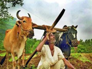Nashik : एल निनोच्या पार्श्वभूमीवर कमी पावसाची शक्यता , शेतकऱ्यांनी नियोजनबद्ध शेती करावी : रविंद्र माने