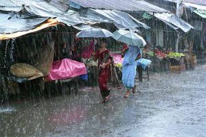 पुढील दोन दिवस महत्त्वाचे! मुंबई, पुणे, दक्षिण कोकणसह राज्याच्या 'या' भागात मुसळधार पावसाची शक्यता, IMDचा ॲलर्ट
