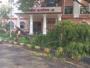जिल्ह्यात वादळी वाऱ्यांसह पावसाची हजेरी