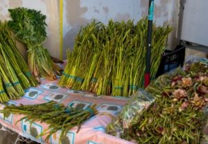 Wild Vegetables: पावसामुळे यंदा रानभाज्यांचे लवकर आगमन, ग्राहकांची मागणी