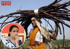 बीडमध्ये ८४३ उसतोड महिलांच्या गर्भपिशव्या काढल्या! अखेर, उघड झालं सत्य