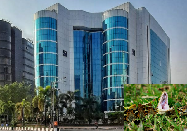SEBI News: कमोडिटी बाजारात संस्थात्मक गुंतवणूकदारांना सहभागी करून घेण्यासाठी प्रयत्न सुरू
