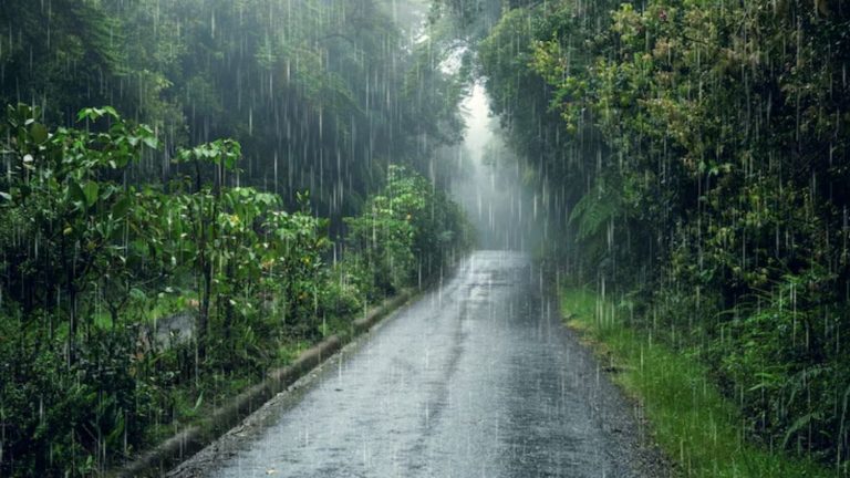 पुढील काही दिवस राज्यात मुसळधार पाऊस...