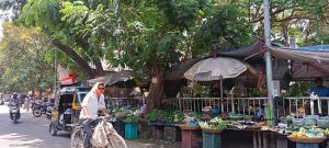 पदपथावरील अनधिकृत व्यावसायिकांवर कारवाई करणे अपेक्षित
