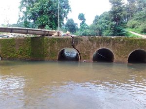बेवड्याची कमाल! पुलावरून ७० फुट खाली कोसळला; लोक घाबरले, पण तो मात्र...