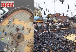 दादरचा ऐतिहासिक कबूतरखाना बंद: मुंबईची एक ओळख काळाच्या पडद्याआड