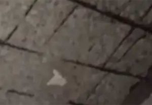 नवी मुंबईच्या घणसोलीत इमारतीचा स्लॅब कोसळला, महिला जखमी