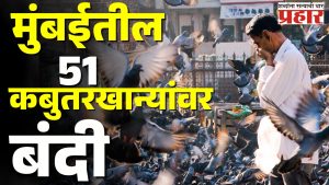 मुंबईतील ५१ कबुतरखान्यांवर बंदी