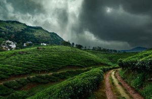 ऑक्टोबर महिन्यात देशात सरासरीपेक्षा अधिक पावसाचा अंदाज, हवामान विभागाने दिली माहिती