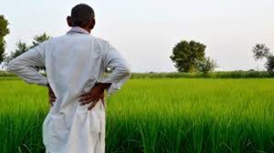 जिल्ह्यातील १ हजार १७२ शेतकरी विमा भरपाईच्या प्रतीक्षेत