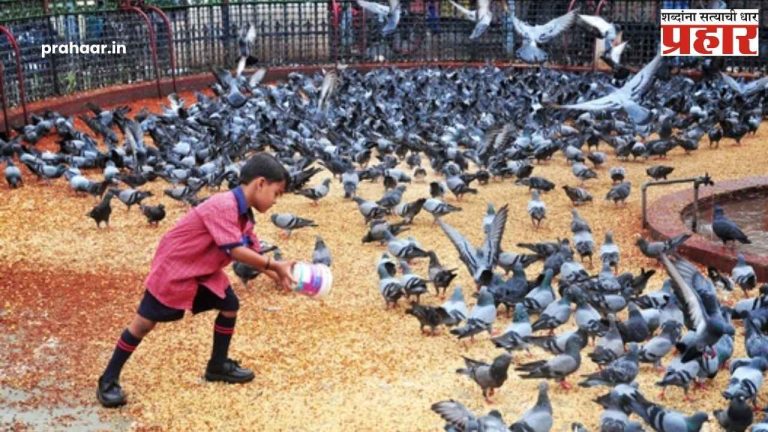 Dadar Kabutar Khana : 