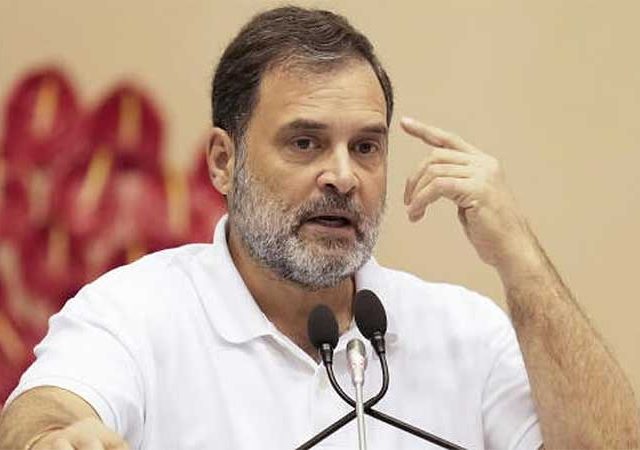 सच्चा भारतीय असं बोलणार नाही, सर्वोच्च न्यायालयाने राहुल गांधींना फटकारले