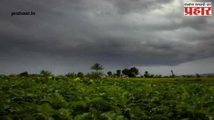 Red Alert : २४ तासांत पुन्हा मुसळधार! धाराशिव जिल्ह्यांसाठी पुढील २४ तास धोक्याचे, हवामान खात्याचा इशारा