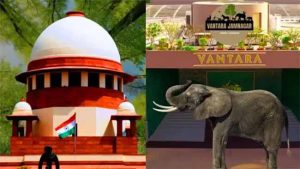 'वनतारा'चा मोठा विजय! रिलायन्सच्या ‘वनतारा’ला सर्वोच्च न्यायालयाची ‘क्लीन चिट’